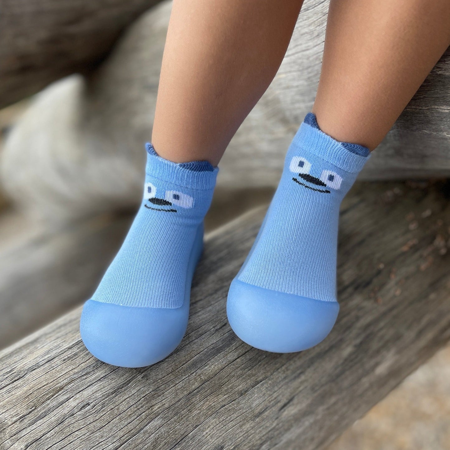 Blue Puppy Pre-walker Baby Shoes